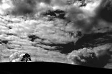 kongwak landscape.jpg
